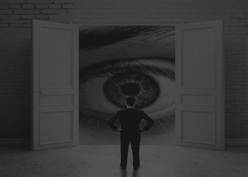 VISION